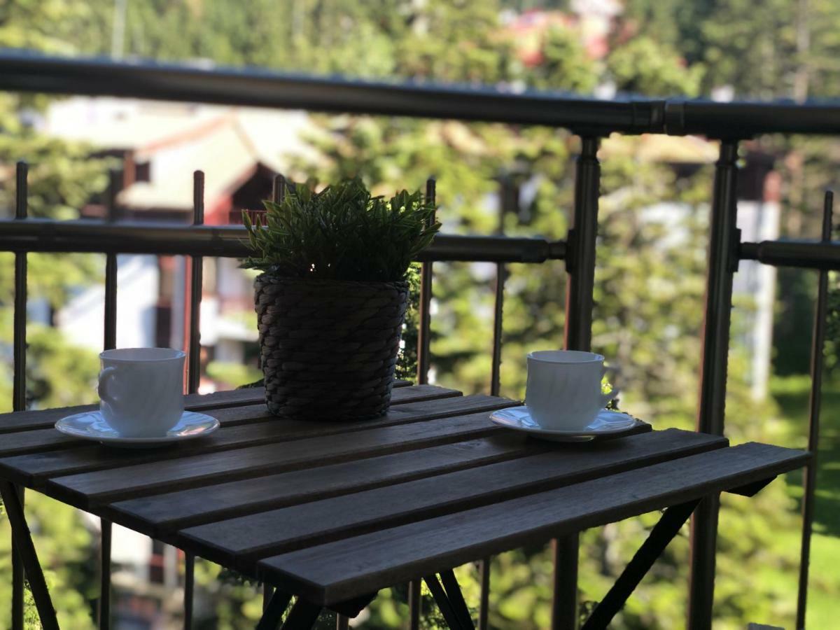 Flora studio deluxe Borovets Esterno foto