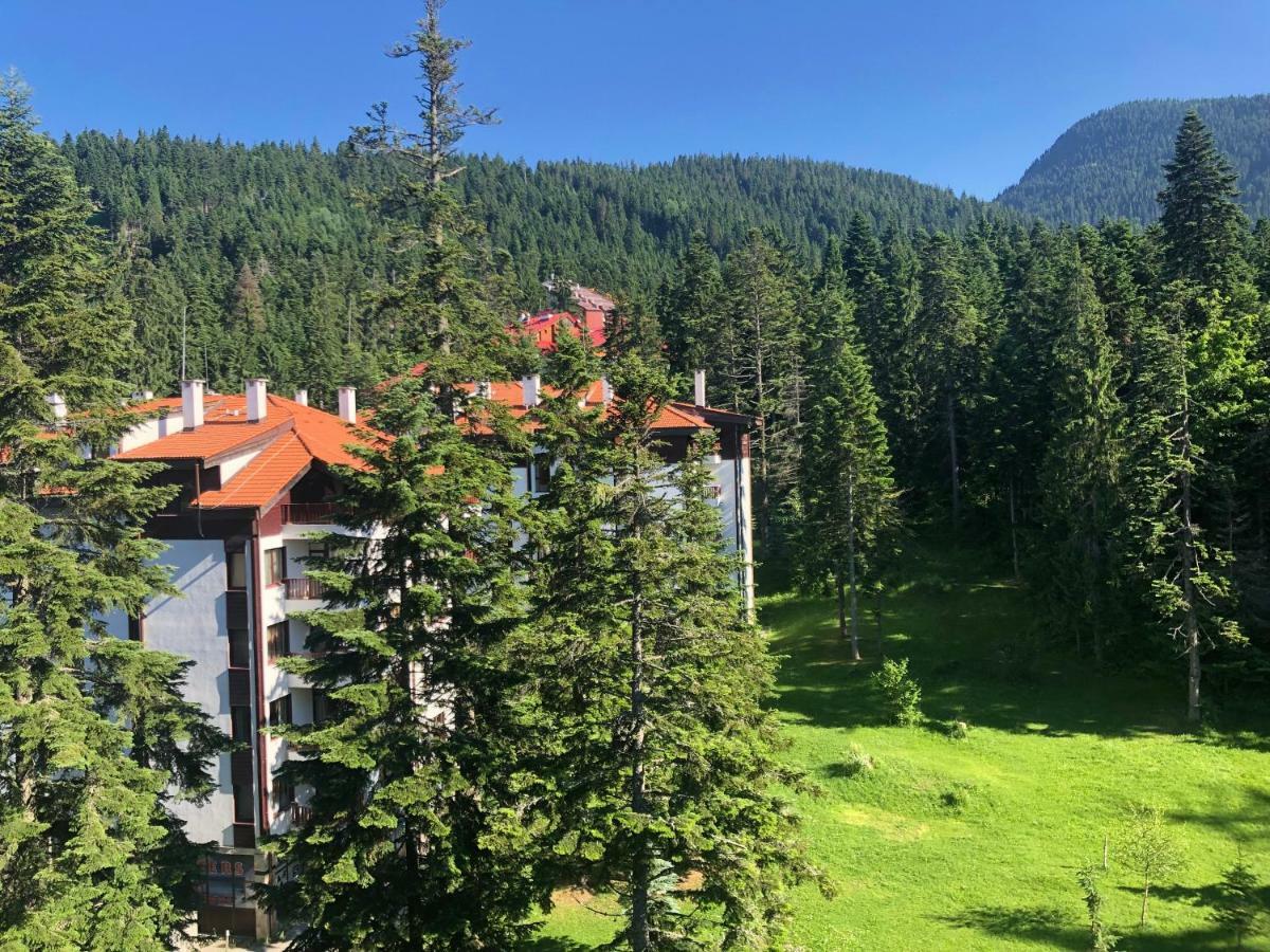 Flora studio deluxe Borovets Esterno foto